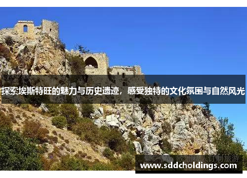 探索埃斯特旺的魅力与历史遗迹，感受独特的文化氛围与自然风光