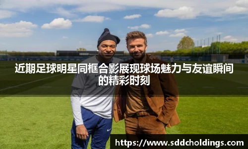 三亿体育有限公司