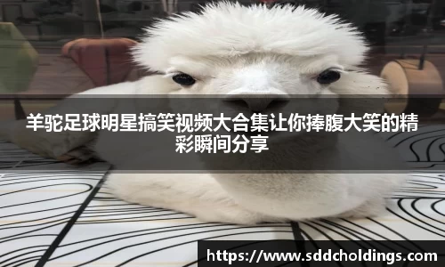 羊驼足球明星搞笑视频大合集让你捧腹大笑的精彩瞬间分享